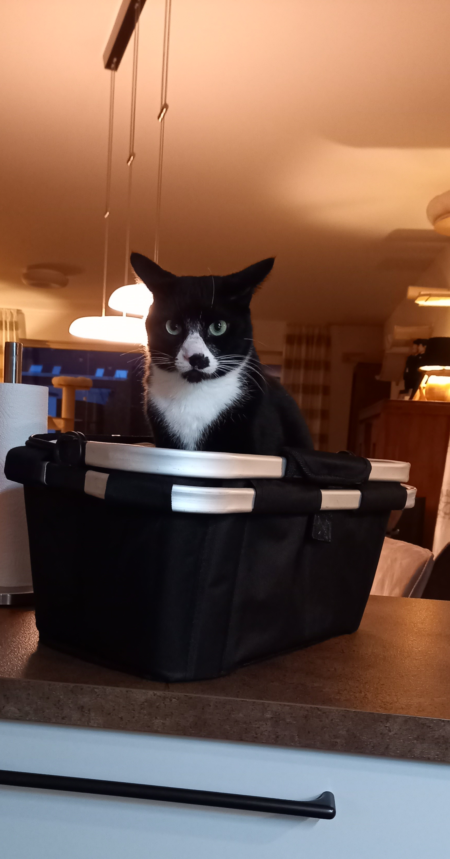 Socke und June_20260109_165922.jpg